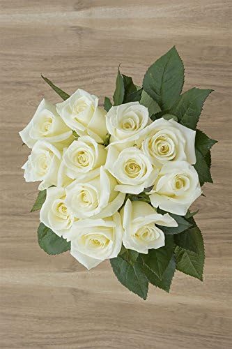 36 stems - Fresh Cut White Rose Bouquet from Flower Explosion (Polar Star)