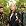 The Corin Tucker Band