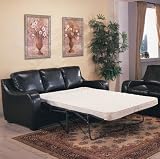 Leather Queen Sleeper Sofa By Coaster Furniture With Silver Shipping