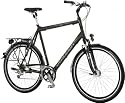 Cityrad Raleigh Unico de Luxe XXL Herren Modell 2010