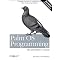 Palm OS Programming Favorites