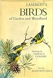 Lambert's birds of garden and woodland