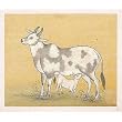 Indian Miniatures Paintings Drawings (minianimal015)