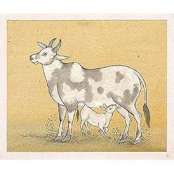 Indian Miniatures Paintings Drawings (minianimal015)