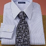Trim Fit Satin Stripe Dress Shirt