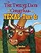 The Twelve Days of Christmas--in Texas, That Is