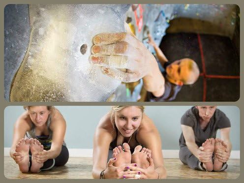 Wild Walls Gift Certificate ($225)