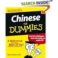 Chinese For Dummies (For Dummies (Language and Literature)) by Wendy Abraham