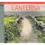 Lanterna