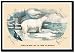 Framed Art Poster 20x30, Ours Blanc de la Mer Glaciale (Polar Bear)