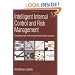Intelligent Internal Control and Risk Management