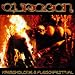 Eisregen-Krebskolonie
