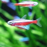 ���i�̏ڍ�