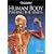 Human Body: Pushing the Limits
