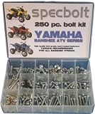 Specbolt Yamaha Banshee Bolt Kit for Maintenance & Restoration OEM Spec Fasteners ATV Quad