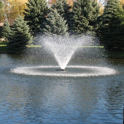Scott Aerator Display Aerator - 1 1/2 HP, 230 Volt, 100-Ft. Power Cord, Model# DA-30