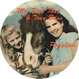 Ponylied