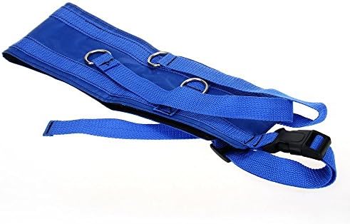 Petown Hands Free Dog Leash-dog Walking Waist Belt (Blue)