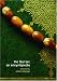 The Qur'an: An Encyclopedia