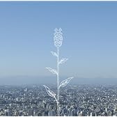 蕾 （通常盤）