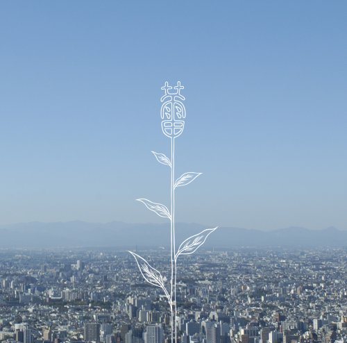 蕾 （通常盤）