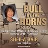 Bull by the Horns: Fighting to Save Main Street from Wall Street and Wall Street from Itself