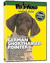 GERMAN SHORTHAIRED POINTER DVD: Everything You Should Know + Dog & Puppy Training Bonus