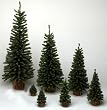 Club Pack of 12 Mini Pine Artificial Village Christmas Trees 12" - Unlit