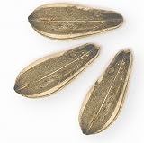 Sunflower Seeds Roasted Salted Israeli Unsalted