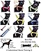 FRIENDLY Dexil Friendly Dog Collars Color Coded Dog Accident Prevention Leash 4ft/1.2m Prevents Dog Accidents By Letting Others Know Your Dog In Advance Award Winning