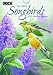 2011 Songbirds - Monthly Planner Calendar