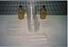 Bacteria Experiment Kit