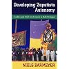 Developing Zapatista Autonomy: Conflict and NGO Involvement in Rebel Chiapas