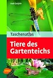 Taschenatlas. Tiere des Gartenteichs