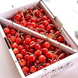 ロイヤルガストロ 【特秀Lサイズ】極上さくらんぼ佐藤錦(バラ詰め/約1kg/山形県産)【のし対応】【お中元ギフト】