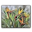Birds of Paradise - Gift Enclosure Cards (set of 12)