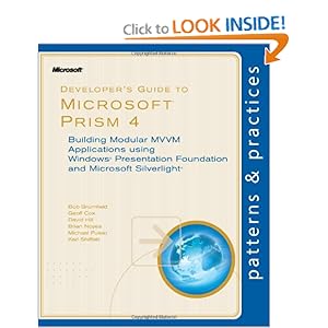 Developer's Guide to Microsoft