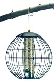 Squirrel Proof Seed Feeder