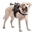 Paper Magic Group Dog Riders Headless Horseman Pet Costume
