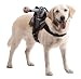 Dog Riders Headless Horseman Pet Costume - One-Size - Pet Costumes