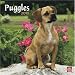 Puggles 2010 Square Wall