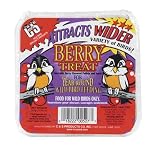 C & S BEERY TREAT SUET MIX