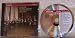 Image of Vivaldi: 9 Concertos; Alla Rustica