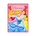 Disney's Princess Twin Mink Plush Blanket