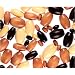 Oval Wood Beads, 3 Sizes, Earthtone Color Mix, 75pc Pkg