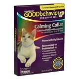 51UA6dW1mRL. SL160  Cats and Behavior