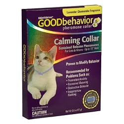 SENTRYHC CAT GOOD BHVR COLLAR
