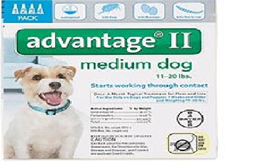 Advantage II for Dogs (11 to 20 lbs- 4 Pack) Advantage II for Dogs (11 to 20 lbs- 4 Pack)