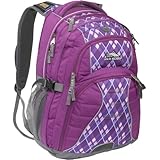 High Sierra Swerve Backpack