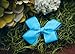 Ema Jane - Neon Grosgrain Hair Bow Clips (15 Pack)